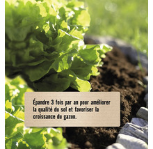 Épandre trois fois par an pour améliorer la qualité du sol et favoriser la croissance du gazon, illustré par une plante dans de la terre.