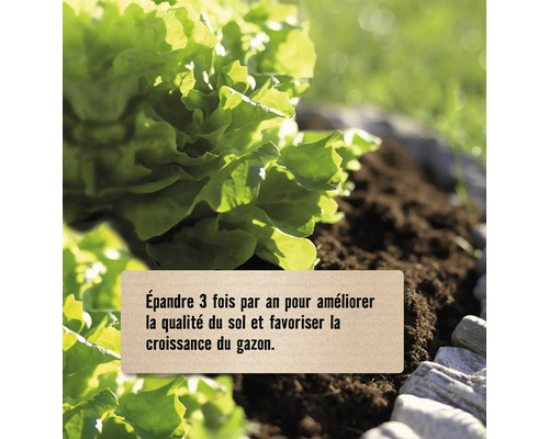 Épandre trois fois par an pour améliorer la qualité du sol et favoriser la croissance du gazon, illustré par une plante dans de la terre.