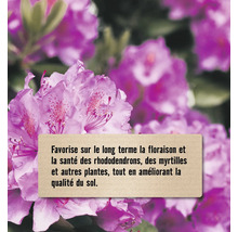 Favorise la floraison et la santé des rhododendrons et des myrtilles à long terme et améliore la qualité du sol.