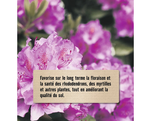 Favorise la floraison et la santé des rhododendrons et des myrtilles à long terme et améliore la qualité du sol.