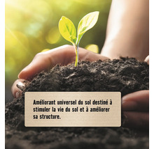 Mains tenant une terre fertile avec un jeune plant, améliorant de sol pour stimuler la vie microbienne et améliorer la structure.
