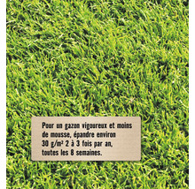 Gazon dense avec instructions: 30 grammes par mètre carré deux à trois fois par an toutes les huit semaines pour un gazon vigoureux.