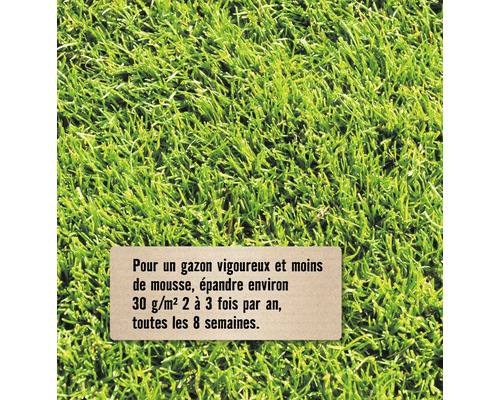 Gazon dense avec instructions: 30 grammes par mètre carré deux à trois fois par an toutes les huit semaines pour un gazon vigoureux.