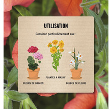 Convient pour les fleurs de balcon, les plantes à massif et les bulbes de fleurs.