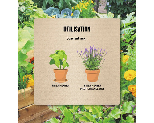 Infographie d'utilisation : convient aux fines herbes et aux herbes méditerranéennes.