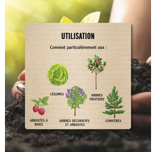 Indications d'utilisation pour les arbustes à baies, les légumes, les arbres et arbustes décoratifs, les arbres fruitiers et les conifères.