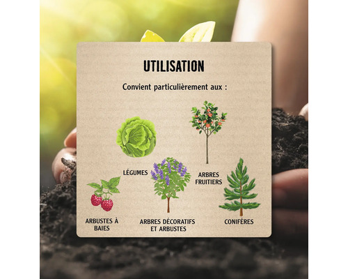 Indications d'utilisation pour les arbustes à baies, les légumes, les arbres et arbustes décoratifs, les arbres fruitiers et les conifères.