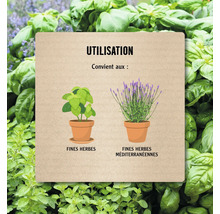 Conseil d'utilisation pour les plantes : Convient aux fines herbes et aux fines herbes méditerranéennes comme le basilic et la lavande.