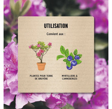Utilisation : Convient aux plantes de terre de bruyère, aux myrtilles et aux canneberges.
