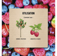 Infographie sur l'utilisation pour les arbres fruitiers et les arbustes à baies sur un fond de baies.