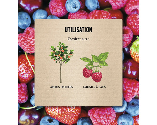 Infographie sur l'utilisation pour les arbres fruitiers et les arbustes à baies sur un fond de baies.
