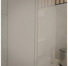 Modernes helles Badezimmer mit einem hohen weissen Schrank, einer Glastrennwand mit Blick auf ein Wand-WC und einem silbernen Treteimer.