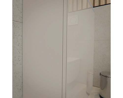 Modernes helles Badezimmer mit einem hohen weissen Schrank, einer Glastrennwand mit Blick auf ein Wand-WC und einem silbernen Treteimer.