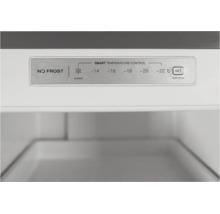 Bedienfeld eines Gefrierschranks mit Smart Temperature Control, No Frost Funktion und Temperaturen von minus 14 bis minus 22 Grad Celsius.