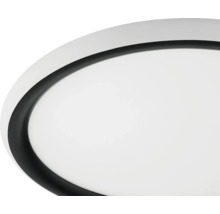 Vue détaillée d'un plafonnier rond avec bord noir et diffuseur blanc.