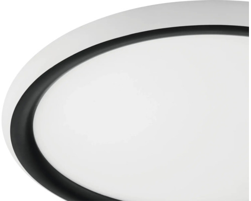 Vue détaillée d'un plafonnier rond avec bord noir et diffuseur blanc.