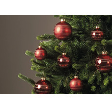 Rote Weihnachtskugeln mit goldenen Glitzerstreifen an einem geschmückten Tannenbaum.