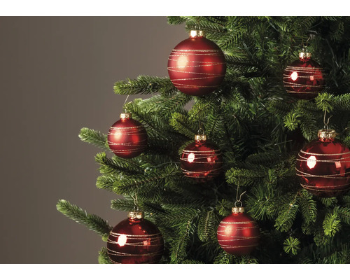 Rote Weihnachtskugeln mit goldenen Glitzerstreifen an einem geschmückten Tannenbaum.
