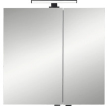 Armoire de toilette à miroir Pelipal LED Quickset 500 lxhxp 67,2 cm x 64 cm x 20 cm couleur sauge IP 44
