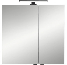 Armoire de toilette Pelipal LED Quickset 500 lxhxp 67,2 cm x 64 cm x 20 cm couleur cachemire IP 44