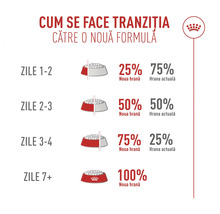 Infographie sur la transition alimentaire sur 7 jours avec des parts allant de 25 pour cent à 100 pour cent. Royal Canin Logo.