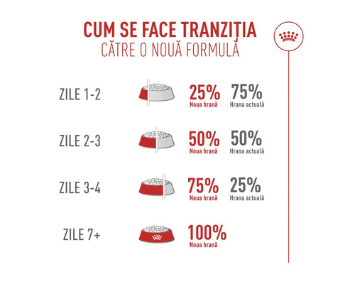 Infographie sur la transition alimentaire sur 7 jours avec des parts allant de 25 pour cent à 100 pour cent. Royal Canin Logo.