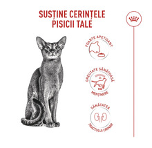 Logo Royal Canin. Avantages des aliments pour chats : Haute appétence, contrôle du poids et santé urinaire.