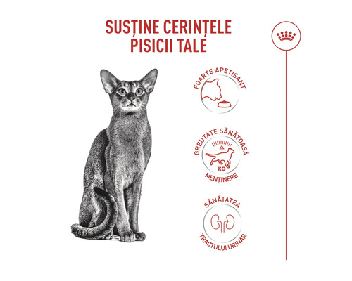 Logo Royal Canin. Avantages des aliments pour chats : Haute appétence, contrôle du poids et santé urinaire.