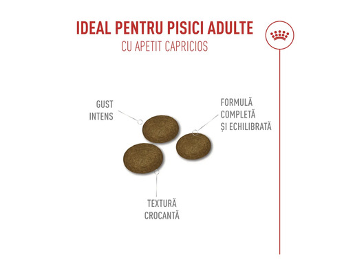 Trois croquettes pour chats adultes à l'appétit difficile. Goût intense, formule équilibrée, texture croquante. Royal Canin Logo.