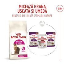 Royal Canin Logo, combinaison de croquettes Fussy Exigent et de nourriture humide Sensory et Instinctive pour chats.