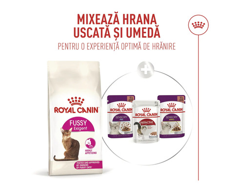 Royal Canin Logo, combinaison de croquettes Fussy Exigent et de nourriture humide Sensory et Instinctive pour chats.