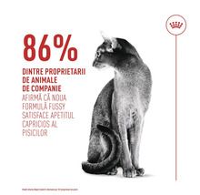 Chat assis à côté du texte: 86 pour cent des propriétaires confirment que la formule Fussy satisfait les chats difficiles. Royal Canin Logo.