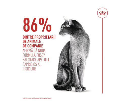 Chat assis à côté du texte: 86 pour cent des propriétaires confirment que la formule Fussy satisfait les chats difficiles. Royal Canin Logo.