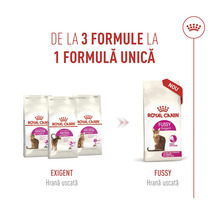 Royal Canin Logo et infographie montrant le passage de trois formules Exigent à une nouvelle formule unique Fussy Exigent.
