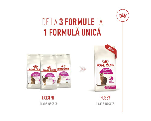 Royal Canin Logo et infographie montrant le passage de trois formules Exigent à une nouvelle formule unique Fussy Exigent.