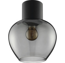 Plafonnier moderne avec abat jour en verre en forme de cloche et ampoule visible pour un éclairage élégant.