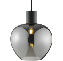 Suspension moderne avec abat-jour en verre bombé et ampoule visible.