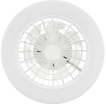 Runder Deckenventilator mit integrierter Leuchte und Lamellenschutzgitter.