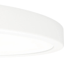 Plafonnier rond en plastique blanc.