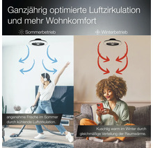 Infografik Deckenventilator mit Sommer- und Winterbetrieb. Pfeile zeigen Luftzirkulation zur Kühlung im Sommer und Wärmeverteilung im Winter.