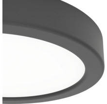 Gros plan d'un plafonnier plat et rond avec un cadre gris foncé et un diffuseur blanc.