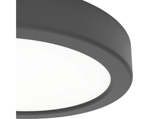 Gros plan d'un plafonnier plat et rond avec un cadre gris foncé et un diffuseur blanc.