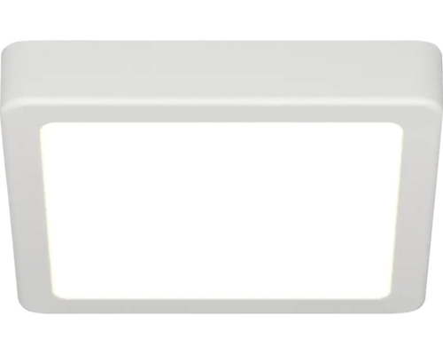 Quadratische LED-Anbauleuchte in Weiss mit abgerundeten Ecken.