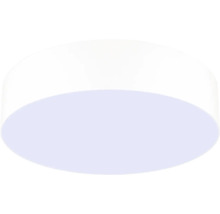 Plafonnier rond et plat en plastique.