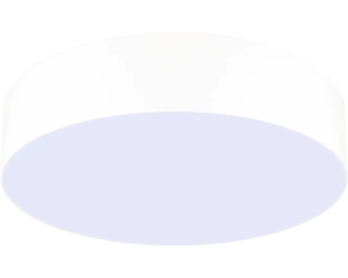 Plafonnier rond et plat en plastique.