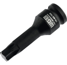 Douille à choc WGB Torx T60, en acier chrome-molybdène.