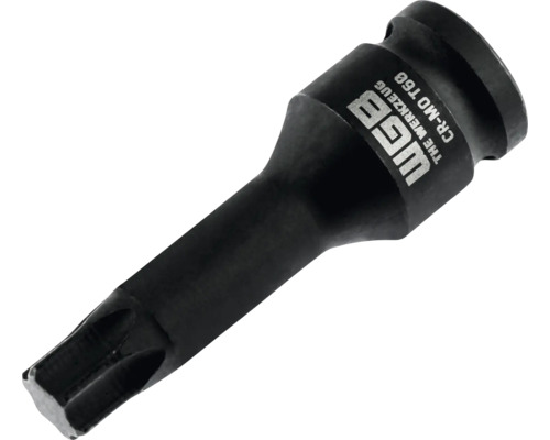 Douille à choc WGB Torx T60, en acier chrome-molybdène.