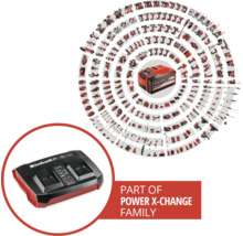 Einhell Schnellladegerät Power X-Twincharger 4A