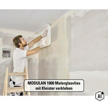 MODULAN Malerglasvlies 3565011080 vorbeschichtet 130g/m² 50 m x 1 m (Image AI modified or generated)