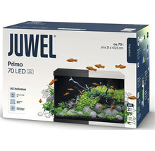 Kit de démarrage pour aquarium Juwel Primo 70 LED d'environ 70 litres, dimensions 61 par 31 par 43,5 centimètres.